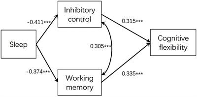 Self-Reported Sleep and Executive Function in Early Primary School Children